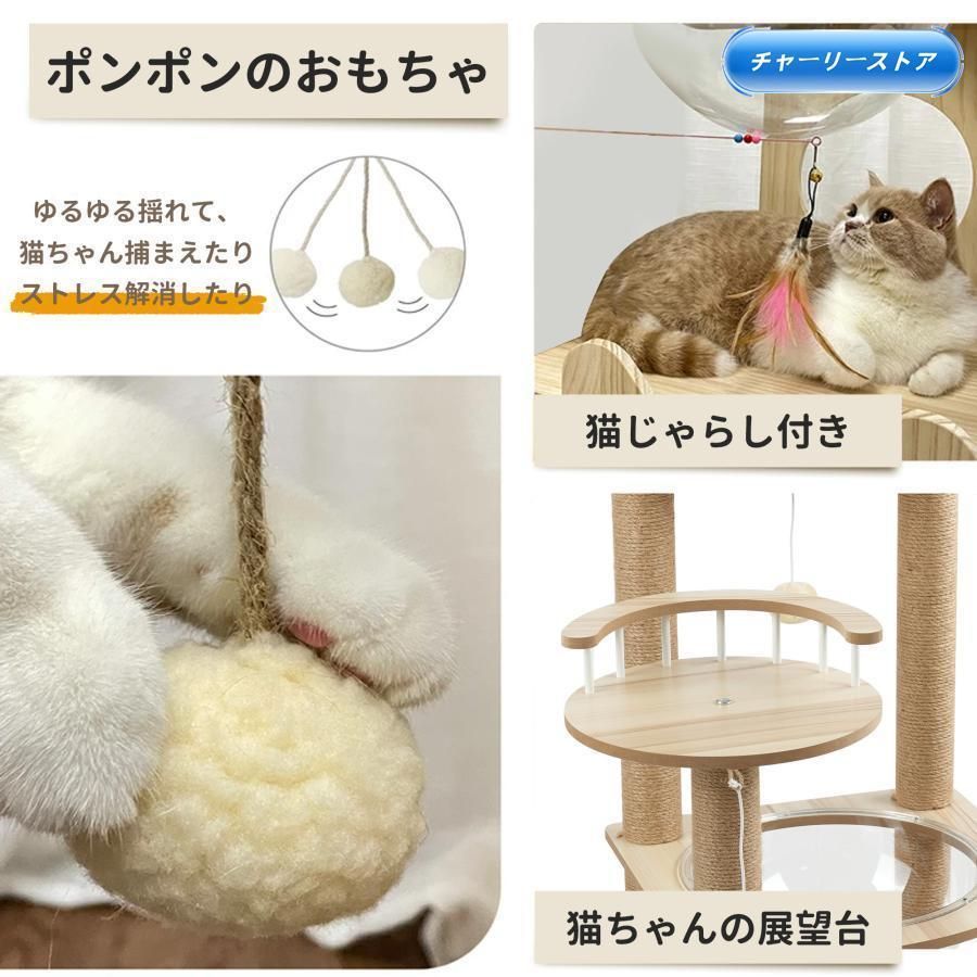 爪とぎ