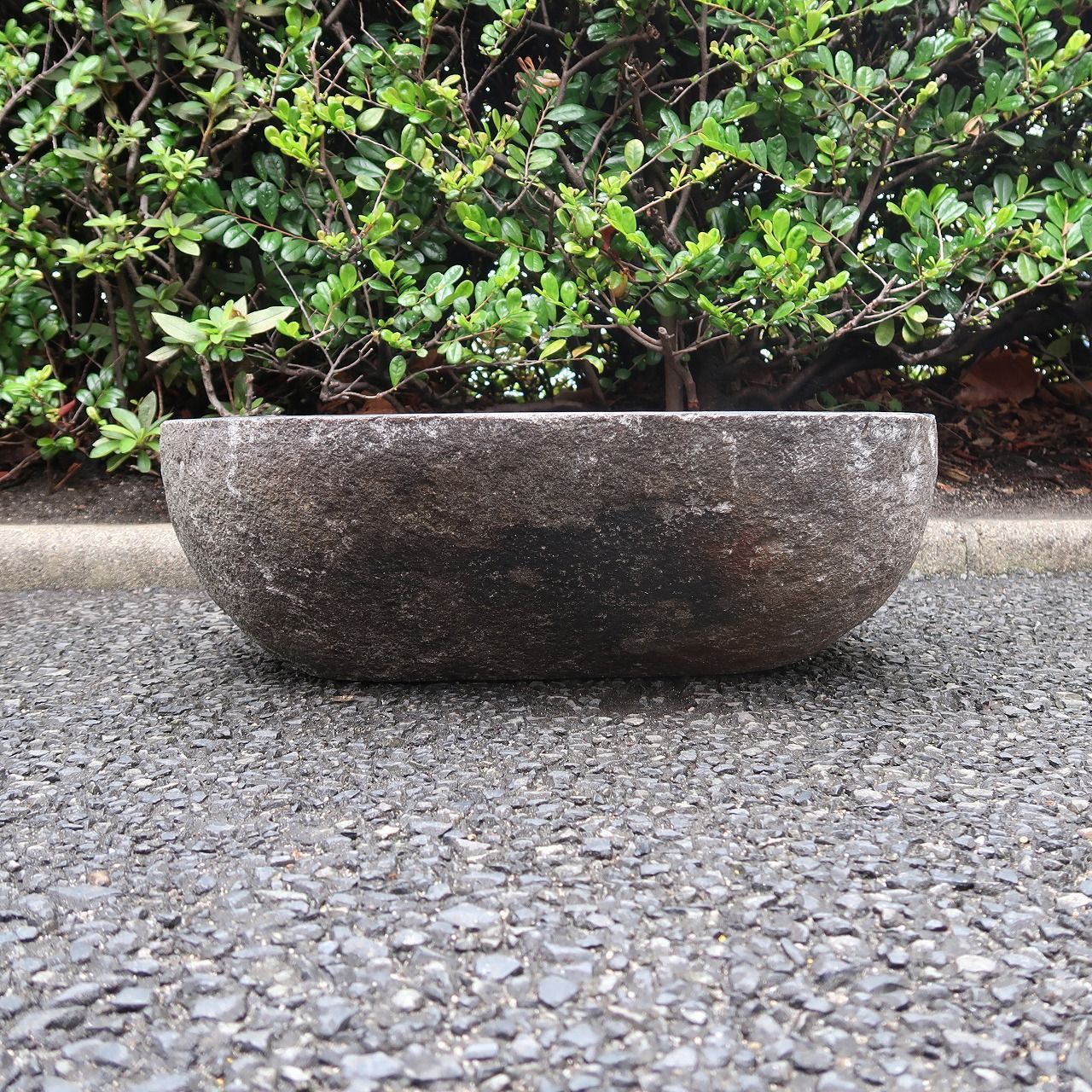 天然石をくり抜いた手水鉢 リバーストーン M 47X44 つくばい 睡蓮鉢 すいれん鉢 メダカ鉢 めだか鉢 ガーデン 坪庭 石材 250917