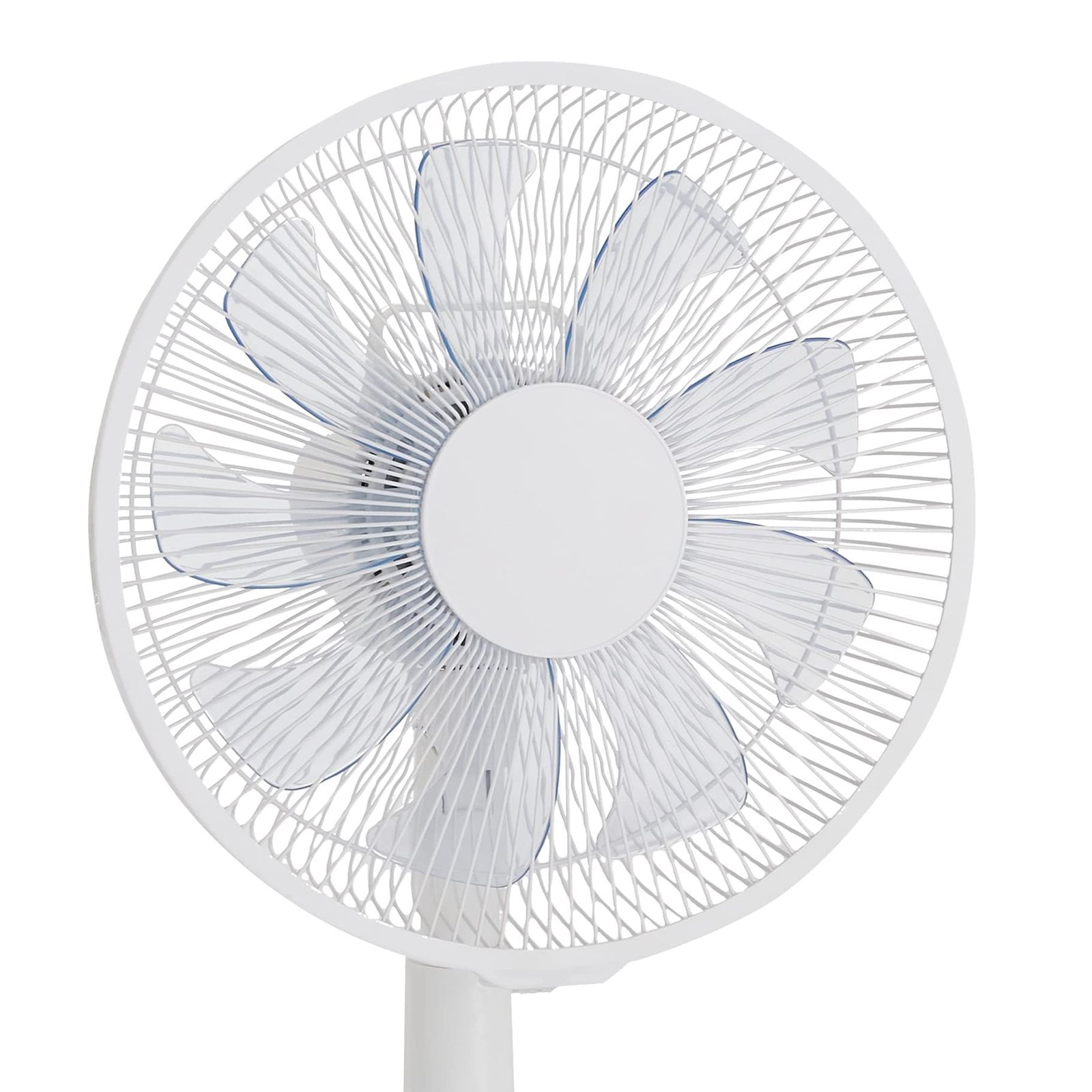 人気商品 リモコン付 静音 9枚羽根 ソフト気流 DCモーター 入切タイマー 首振り リビング扇風機 風量調節5段階 ホワイト ベーシック 羽根直径30cm WWW_KANDAIZUMI_COM