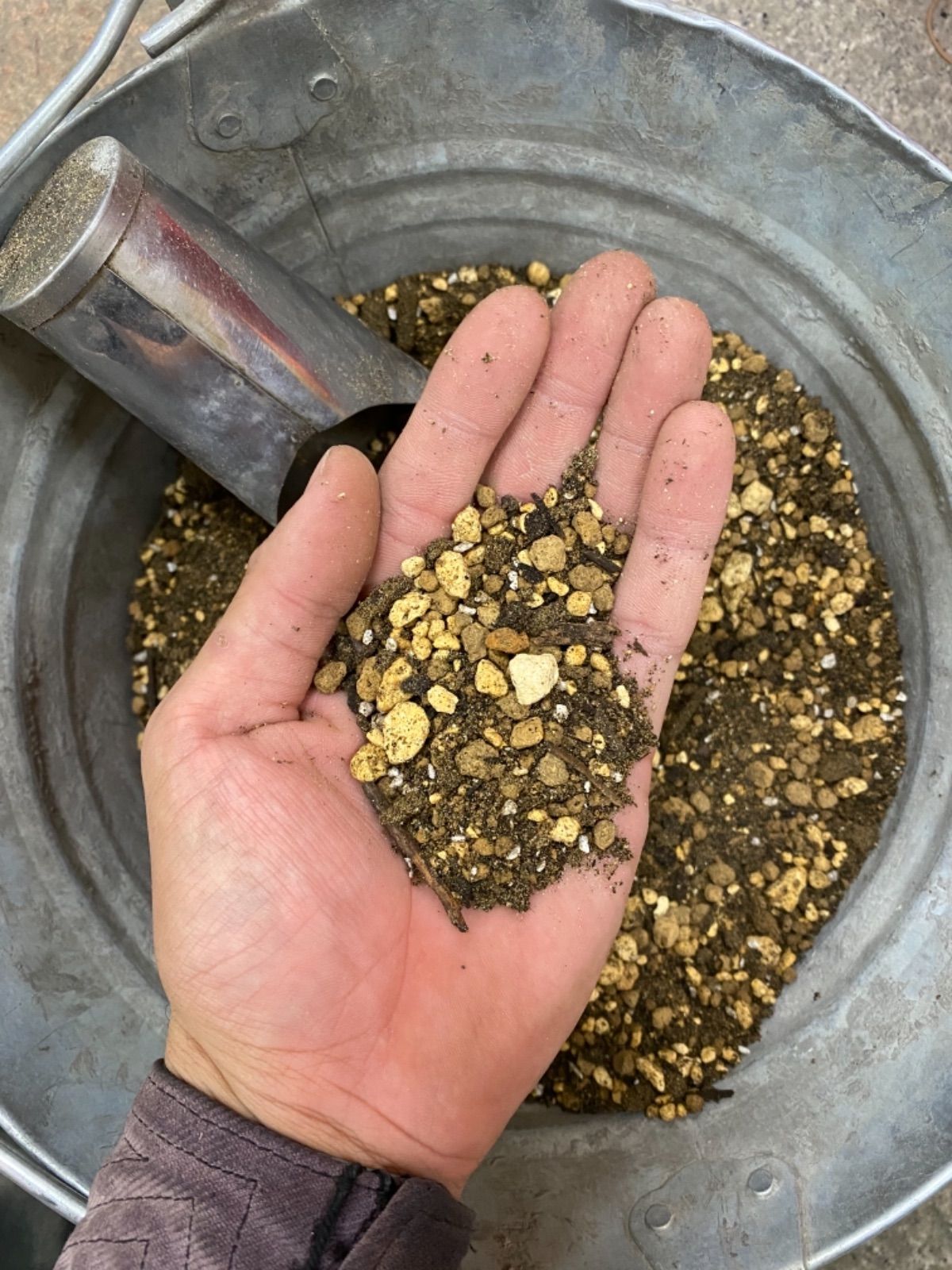 クラシック 新品 未使用 庭屋が作った多肉配合土 5ℓ 多肉植物 サボテン 挿木 種まき 魂根植物 在庫 配合土 5ℓ 植物 観葉植物 Urologydurban Co Za Urologydurban Co Za