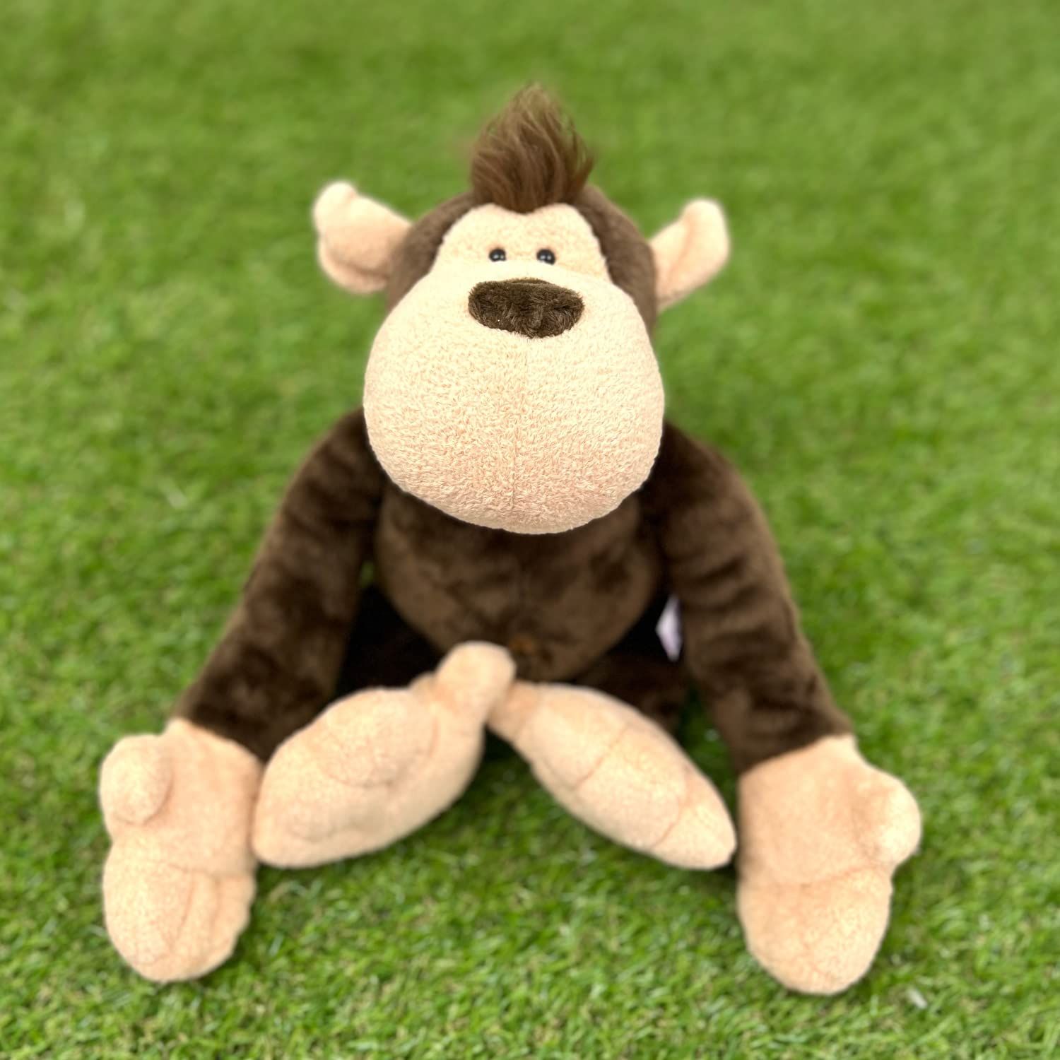 ポケモンセンターオリジナル ぬいぐるみ イエッサン(メスのすがた) 21