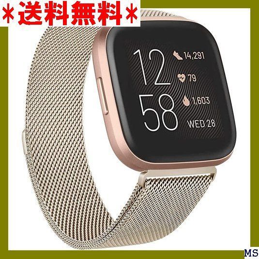 VIII Vanua コンパチブル Fitbit Versa2 テンレス鋼な ネットロック付き Small シャンパン 1510