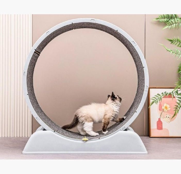 猫 トレッドミル キャット ホイール 安い ローラー ルームランナー 回し車 観覧車 安全 エクササイズ ランニング ペット