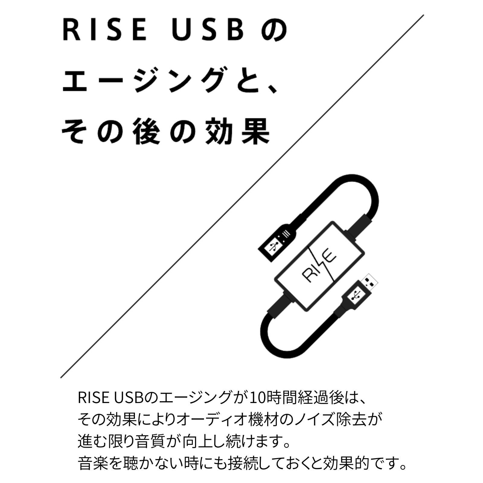 Third Technology RISE USB AA-01 販売済み USBノイズフィルター