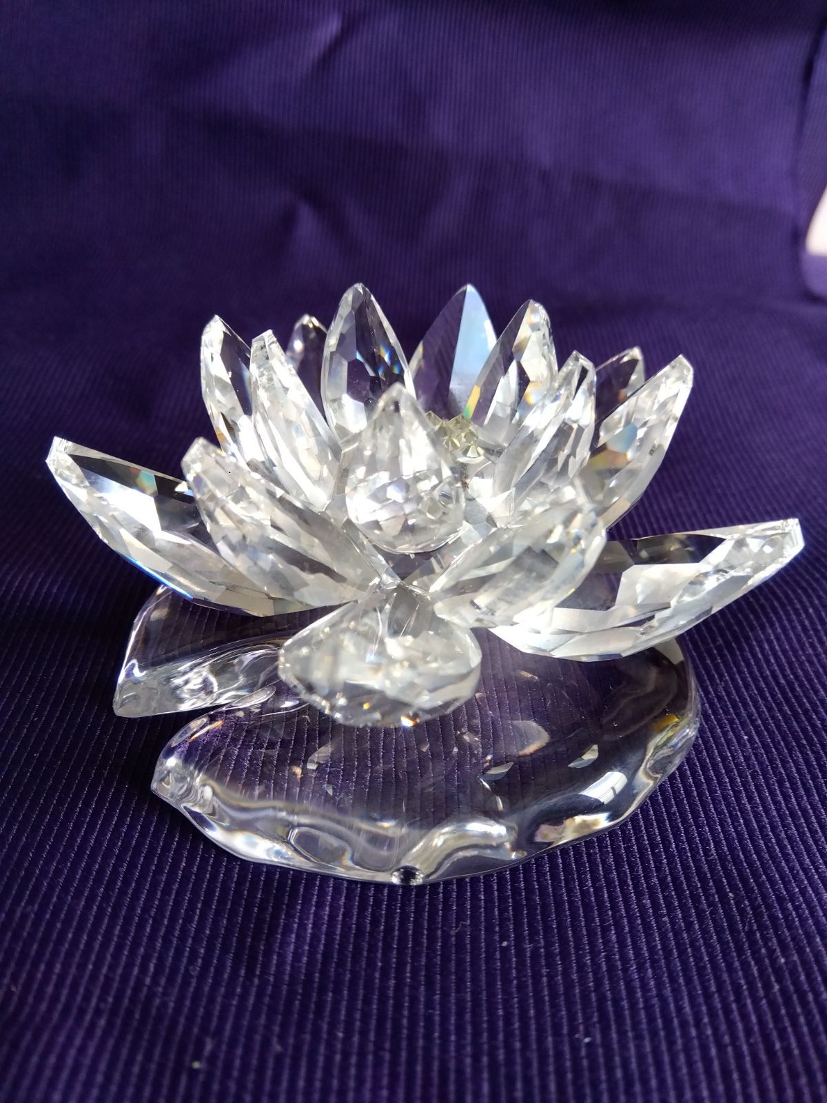 スワロフスキー SWAROVSKI 睡蓮 スイレン waterlily 【公式通販】