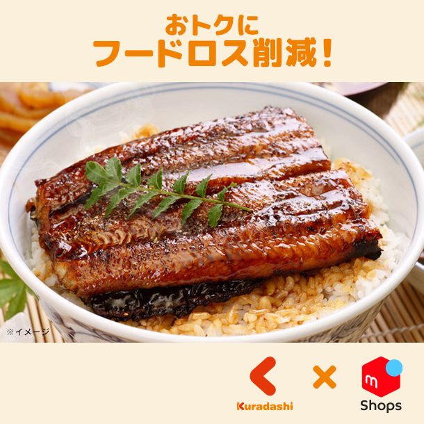 うなぎの蒲焼き 100g×10食