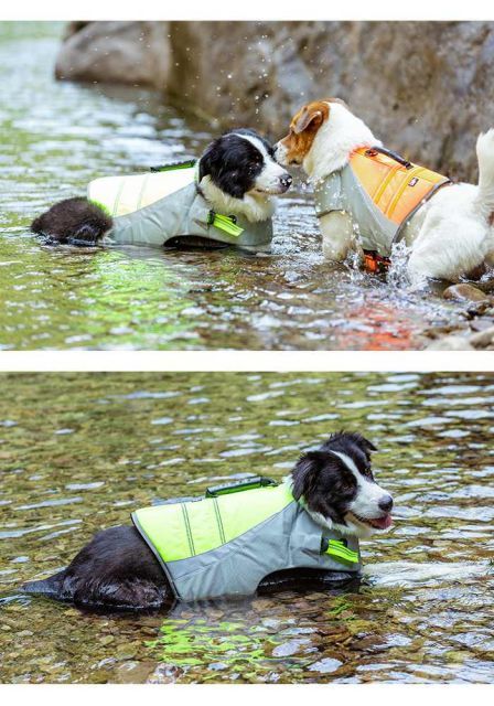 フロート 小型犬
