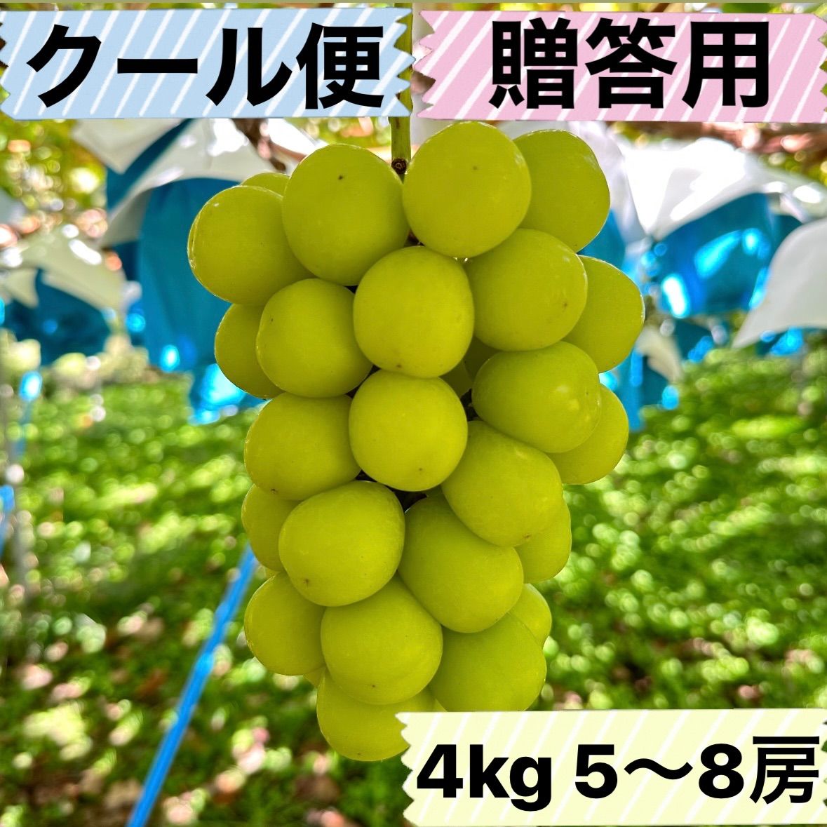 長野県産 シャインマスカット 4キロ ✳️クール便 - メルカリ