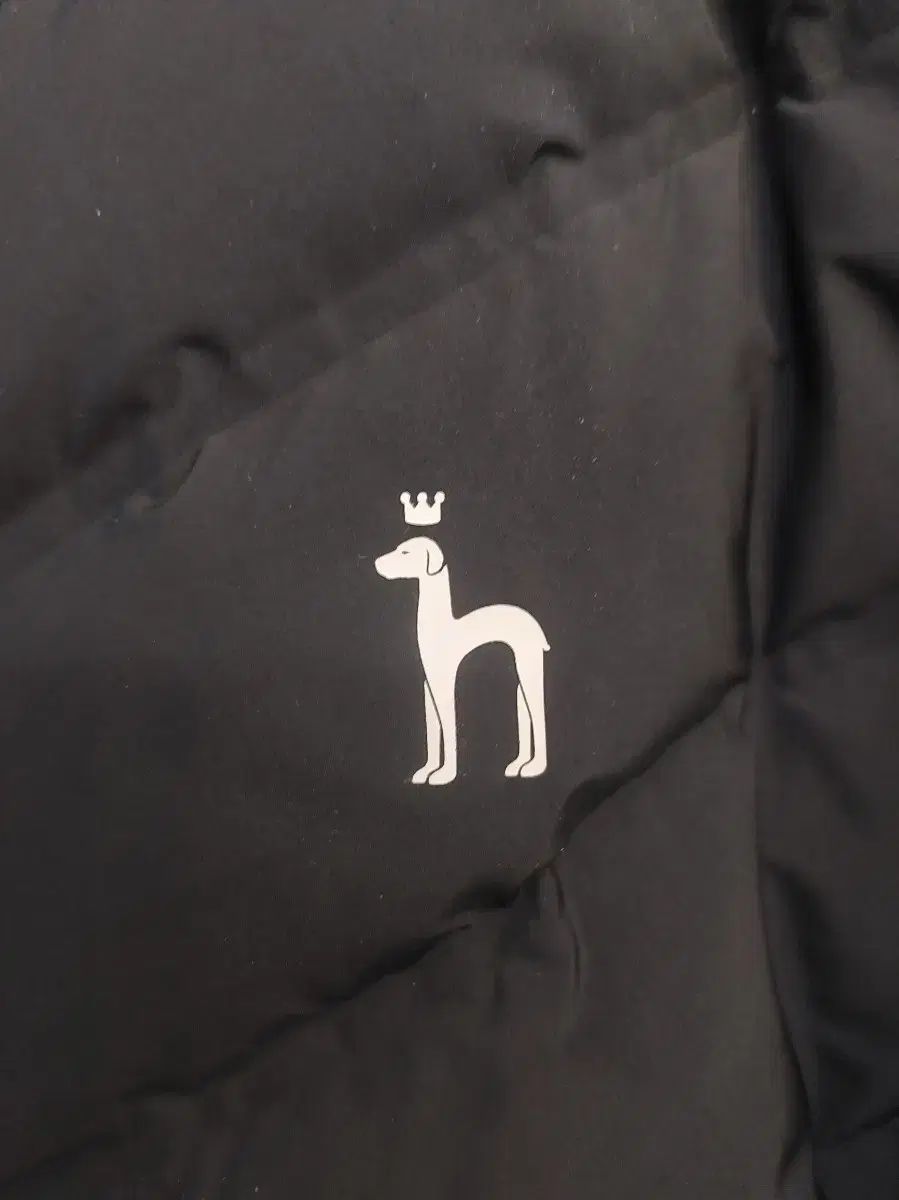 グースダウン 100