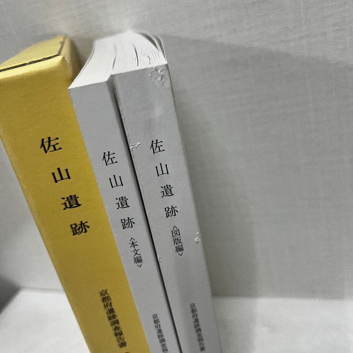 押出遺跡発掘調査報告書(本文編)(図版・表・分析編) 発掘調査報告書2冊を刊行しました。 | 静岡県埋蔵文化財センター