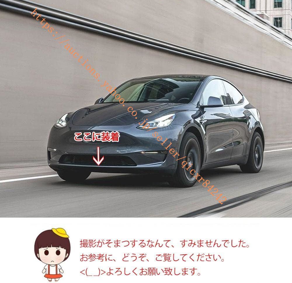 モデルY用 カーボン