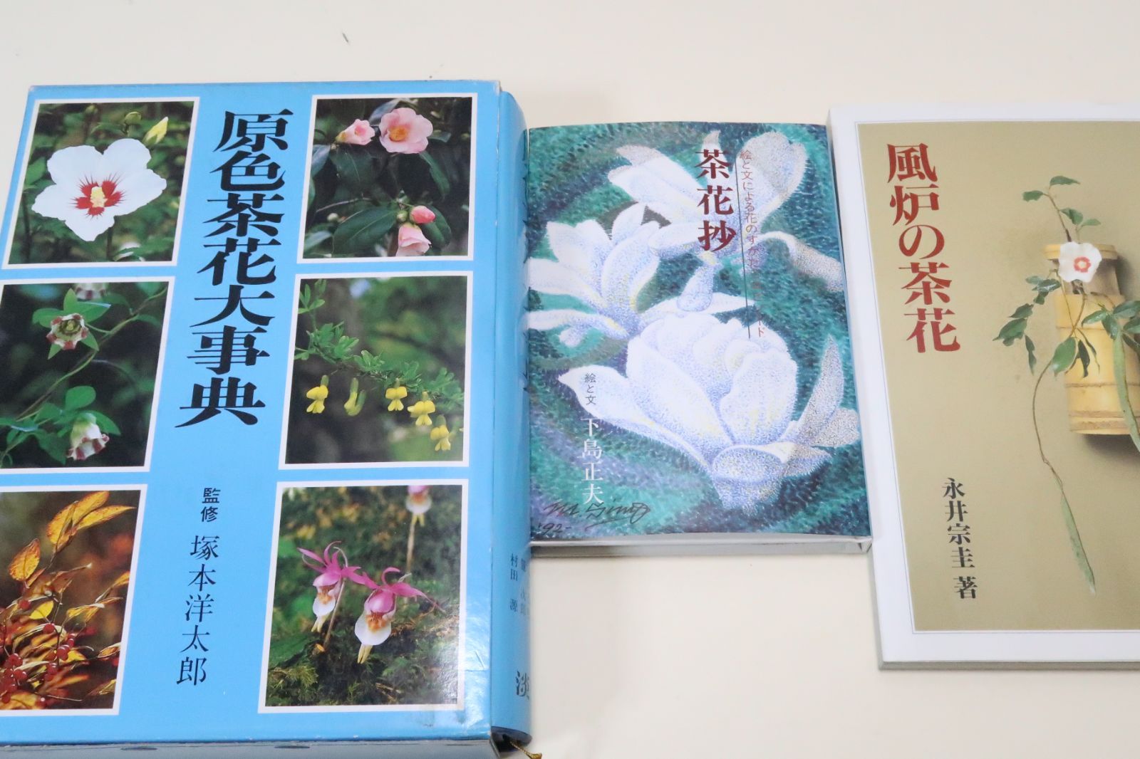 原色茶花大事典