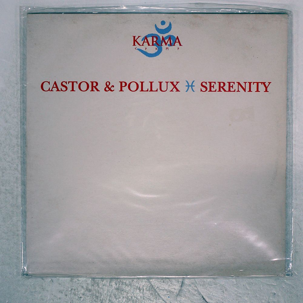 Wonk \"Pollux & Castor\" レコード　2枚 Wonk Pollux & Castor レコード 2枚