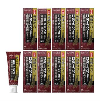 サンスター薬用塩ハミガキ 当帰の力 スパイシーミントの香味 85g 10個