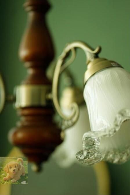 5灯 天井照明器具シーリングライト