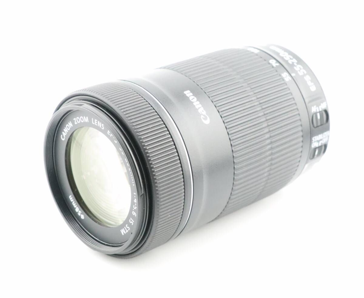 ⭐️外観美品⭐️Canon キャノン EF-S 55-250mm ISⅡ Amazon.com : Canon EF-S 55-250mm f/4.0-5.6 is II Telephoto