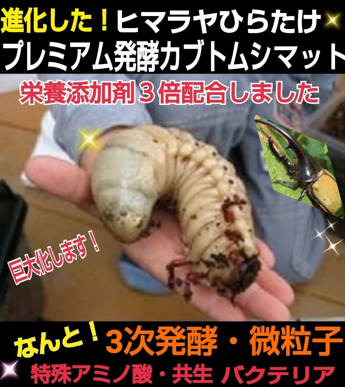 カブトムシ幼虫専用☆プレミアム3次発酵マット入りケース【4セット】栄養価抜群！ - メルカリ