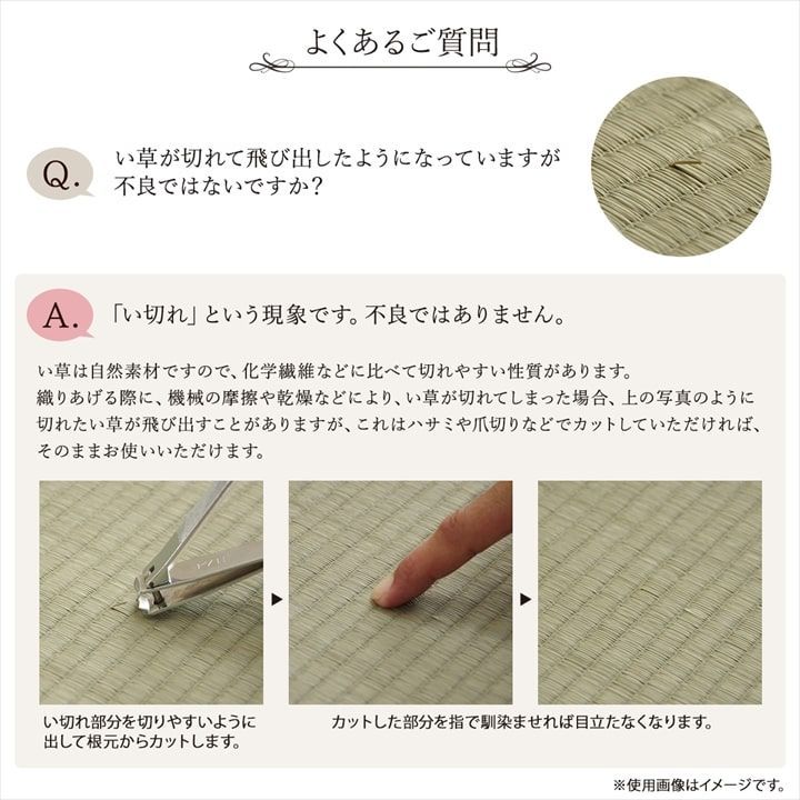 ノア