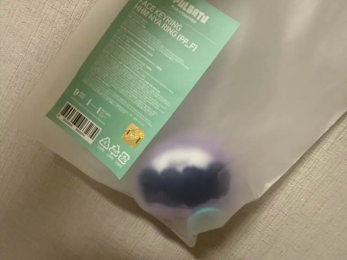 N.Flying(エヌフライング) イ・スンヒョプ フォトブック