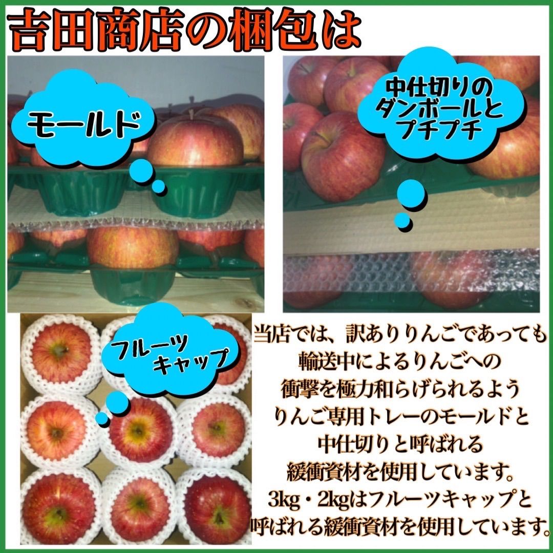青森県産サンふじりんご訳あり10㎏-4
