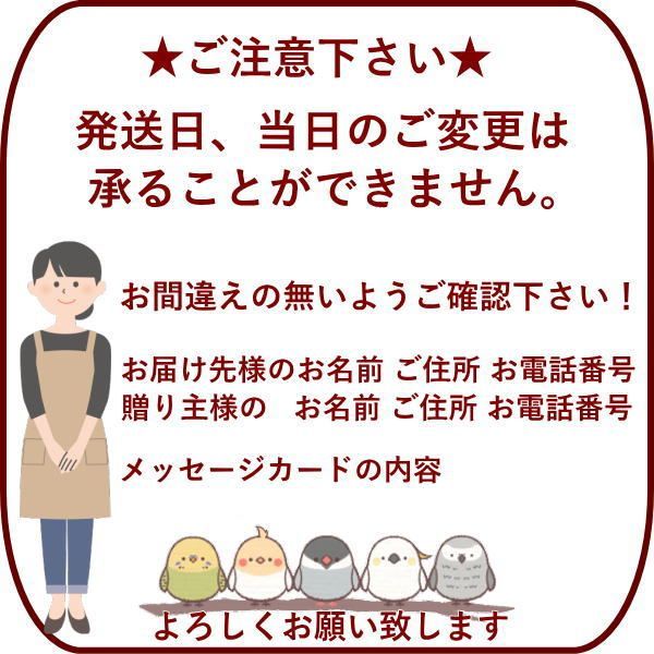 アーシア・アルジェント SSR ☆5 サイン ハイスクールD×D 纏めれ
