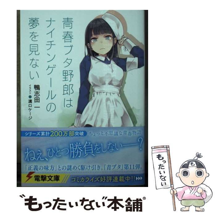 中古】 青春ブタ野郎はナイチンゲールの夢を見ない (電撃文庫 3727) / 鴨志田一 / ＫＡＤＯＫＡＷＡ - メルカリ