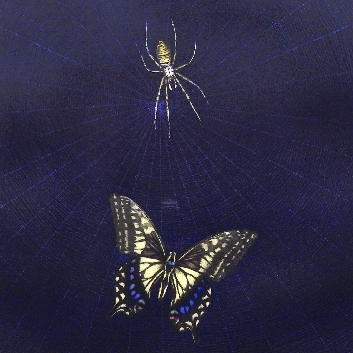 加山又造 蝶 動物画 昆虫 クモ 作家直筆サイン 日本画 版画 絵画 真作保証 加山又造 蝶 動物画 昆虫 クモ 作家直筆サイン 日本画 版画 絵画 真作