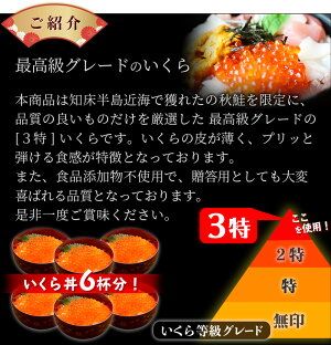 【 北海道産 】 天然秋鮭卵 いくら 醤油漬け 有機醤油 500g 250g×2個 最高級 3特グレード カネサン 佐藤水産 秋鮭 海産物 いくら お取り寄せ ギフト 贈答品 送料無料 プレゼント お歳暮 海鮮 御歳暮 お歳暮 冬 ギフト グルメ