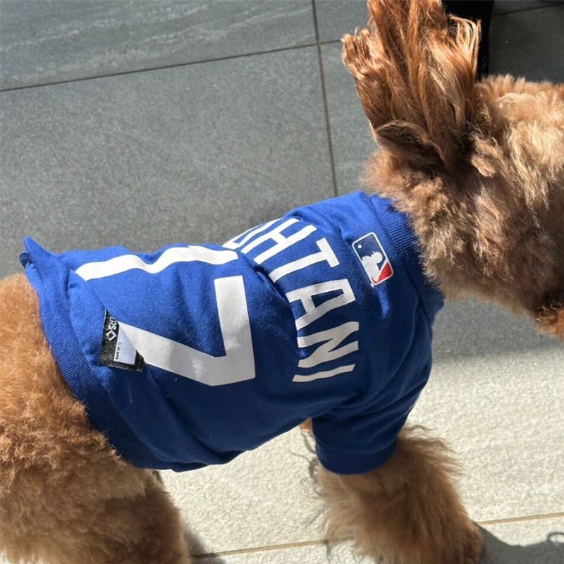 【MLB公式】大谷翔平モデル　Tシャツ　ドジャース　ユニフォーム　応援グッズ　犬服　中型犬　大型犬　野球