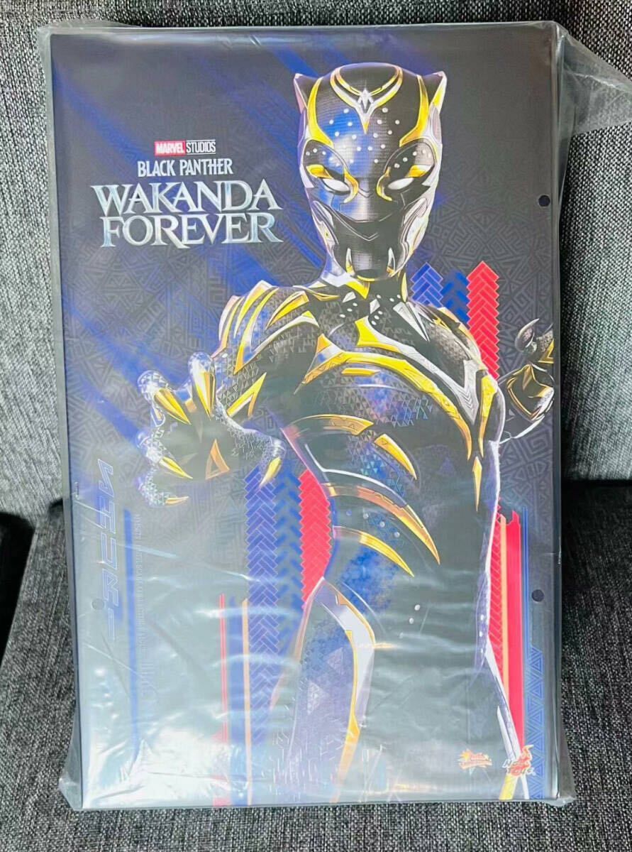 ホットトイズ 1/6 ブラックパンサー ワカンダ・フォーエバー ブラック