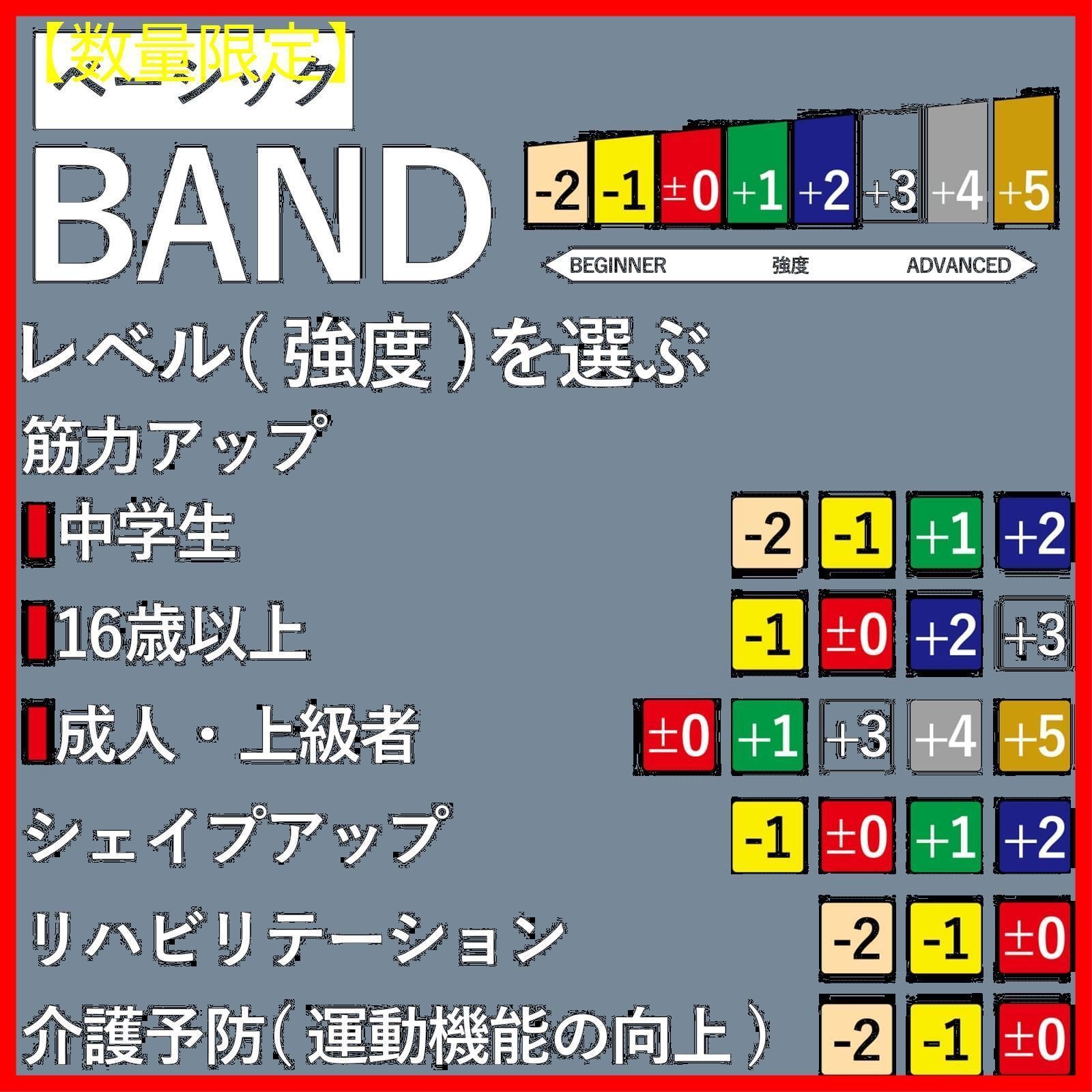 色:青_スタイル:強度レベル+2】セラバンド トレーニングバンド