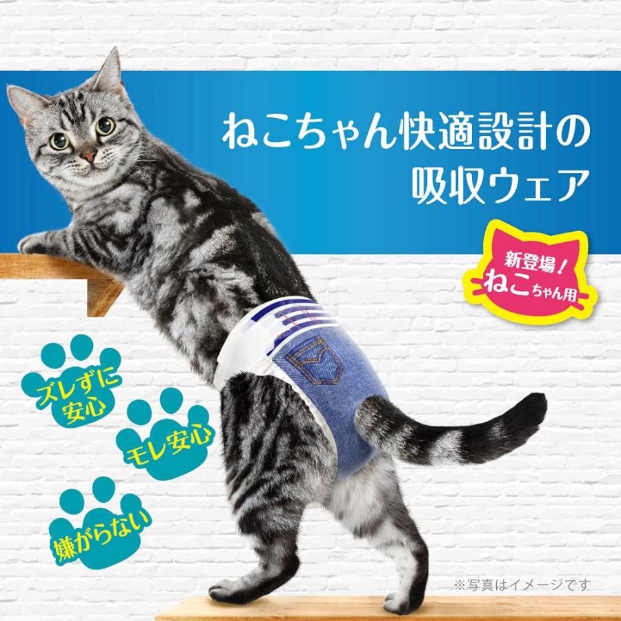 猫用