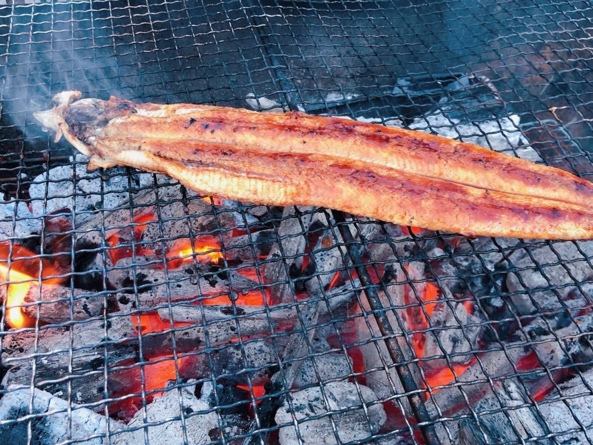 1kg) 白炭 ウバメガシ バーベキュー用 BBQ 燃料用 紀州備長炭