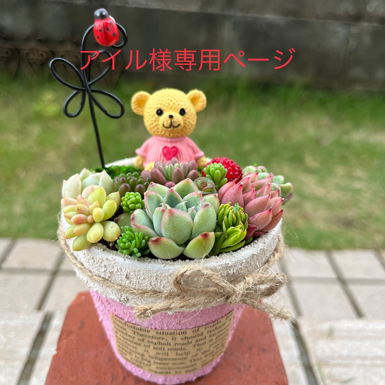 No.343 345 you 2個セット 寄せ植え 花 No.343 345 you 2個セット 寄せ