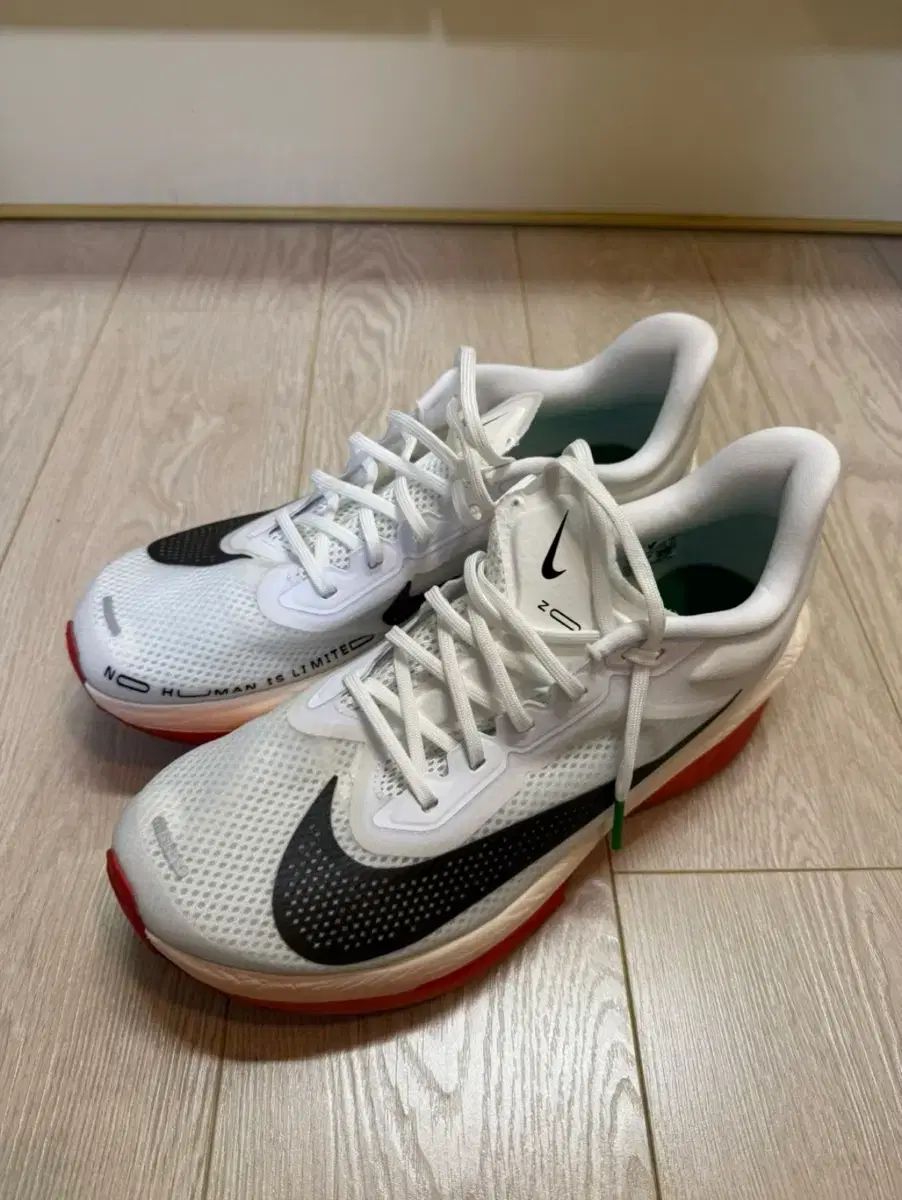 新品同様！完売モデル】Nike ZoomX ズームフライ6 キプチョゲモデル 