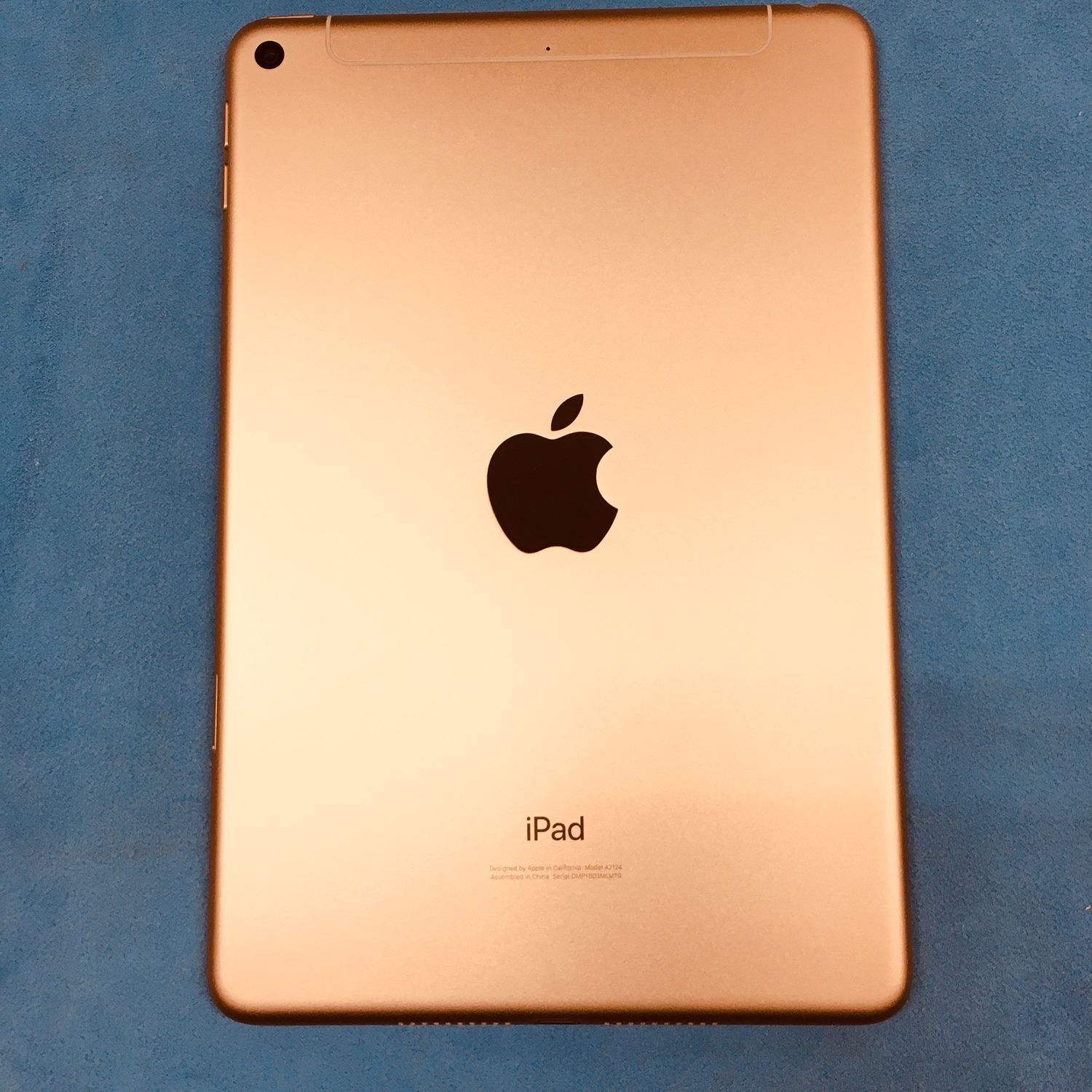 第5世代 iPad mini 64GB SIMロック解除済 ゴールド 動作確認済 送料