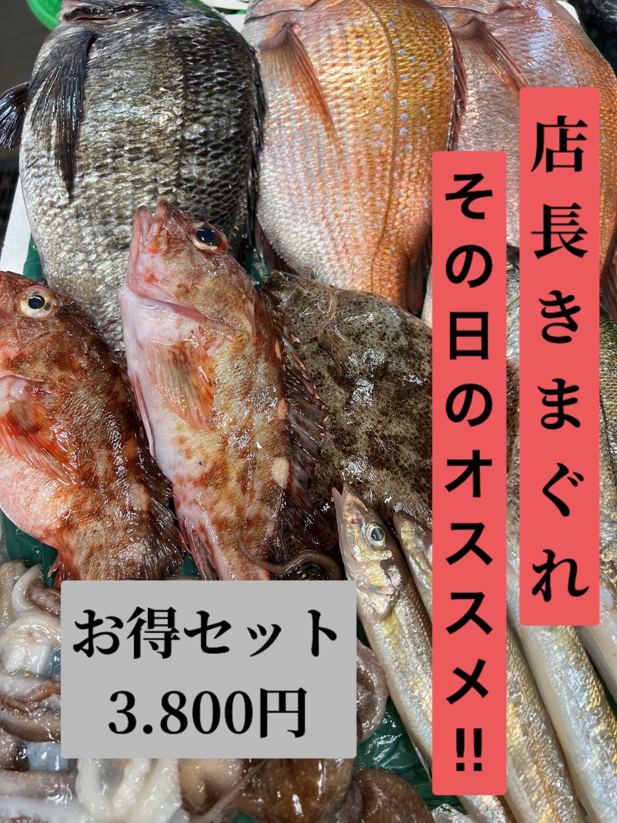 有馬鮮魚　瀬戸内海の海の幸　店長お任せ3,800セット