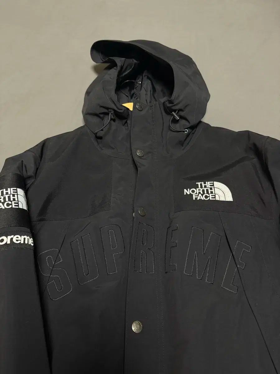 Supreme シュプリーム X THE NORTH FACE ザノースフェイス アーチロゴ マウンテンジャケット