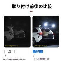 テールゲートキャンプライト