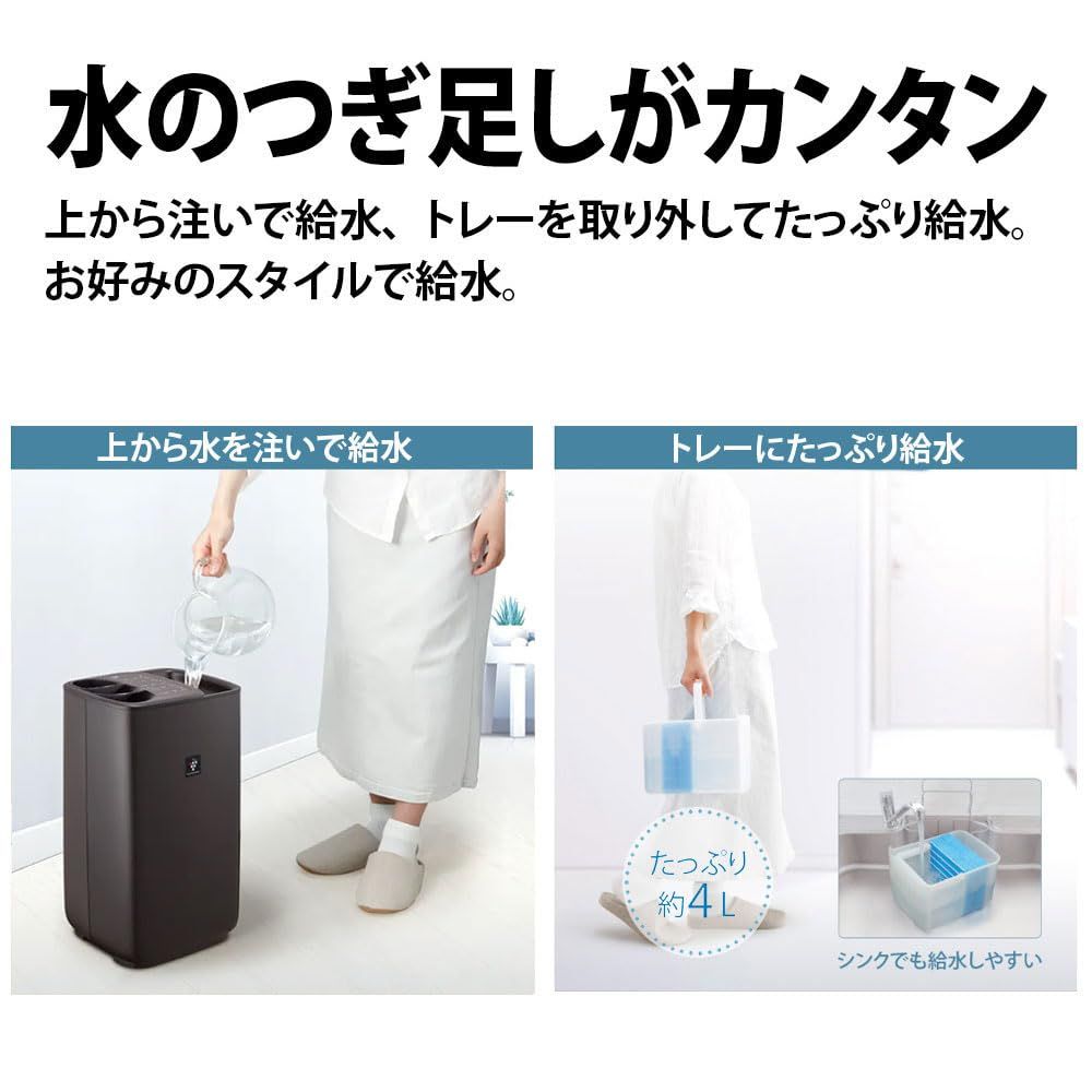 レギュラータイプ