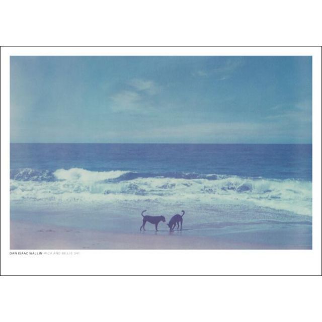 宮崎日日新聞 九州・宮崎プレスリリースSP_「【第2弾】「増やさない