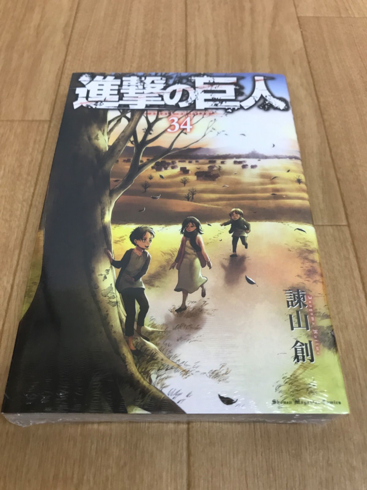 進撃の巨人 1巻～34巻 全巻セット 諌山創 中古 進撃の巨人 1-34巻 諫山創 中古コミック 漫画 マンガ 全巻セット