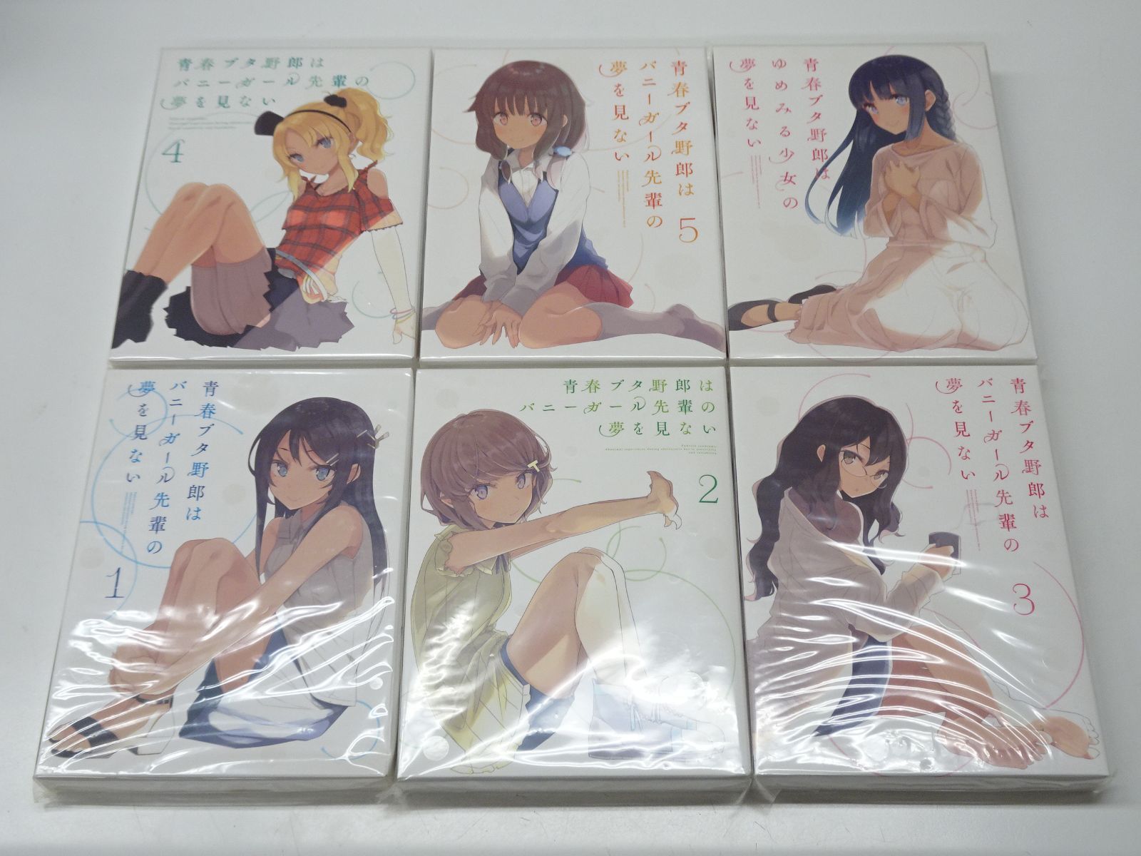 青春ブタ野郎はバニーガール先輩の夢を見ない 青春ブタ野郎は