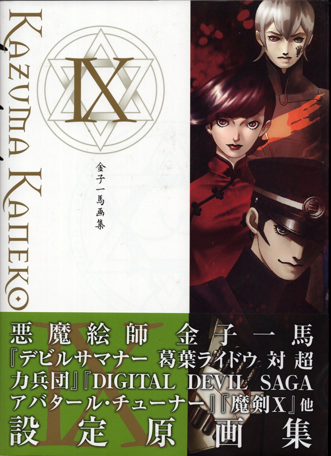 新紀元社 金子一馬 金子一馬画集 IX (帯付)