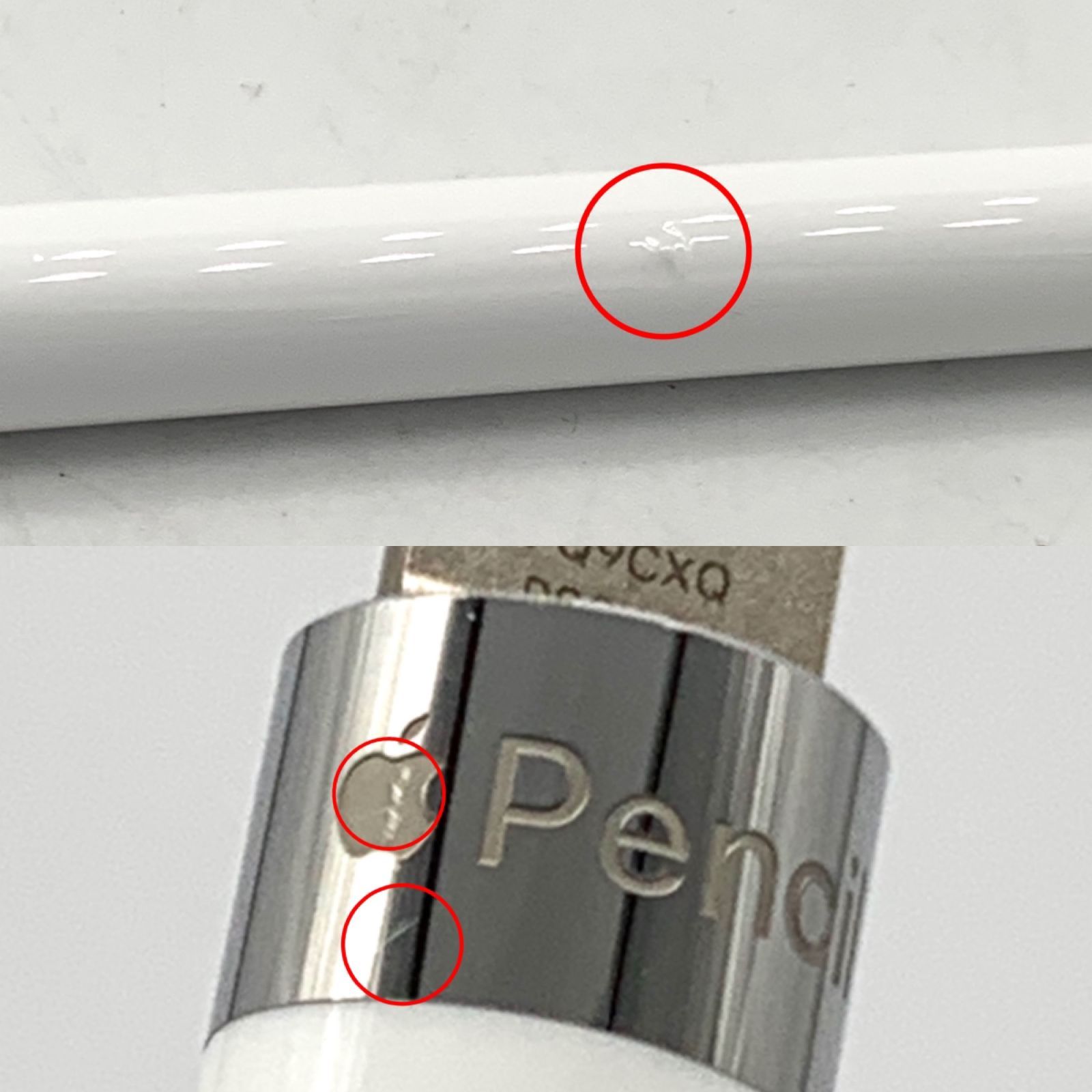 MM出品◆ブラジルアップル、１２０ｃｍｘ５苗 ▽【ジャンク品】Apple Pencil アップルペンシル 第1世代 MK0C2J