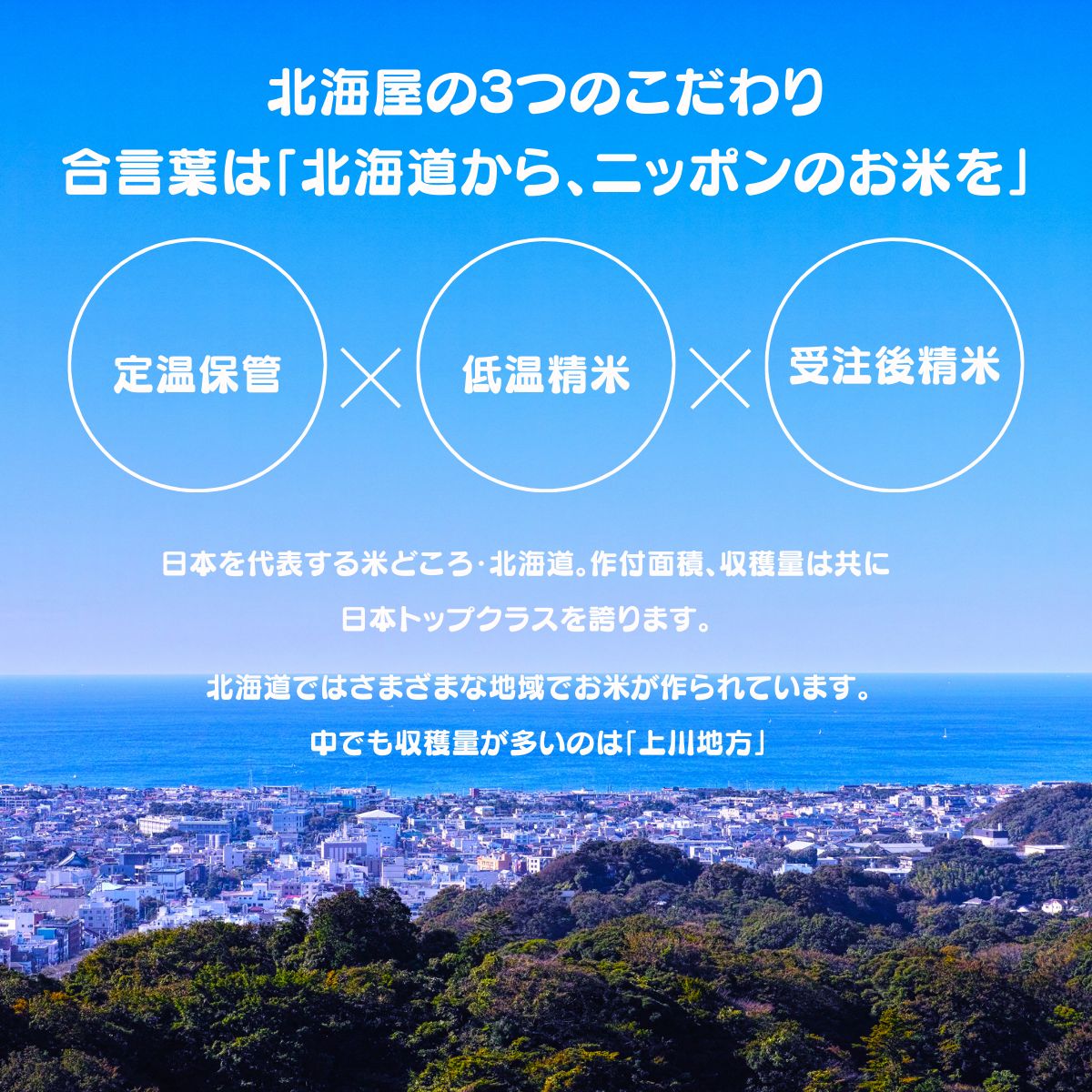 北海道 生活応援米