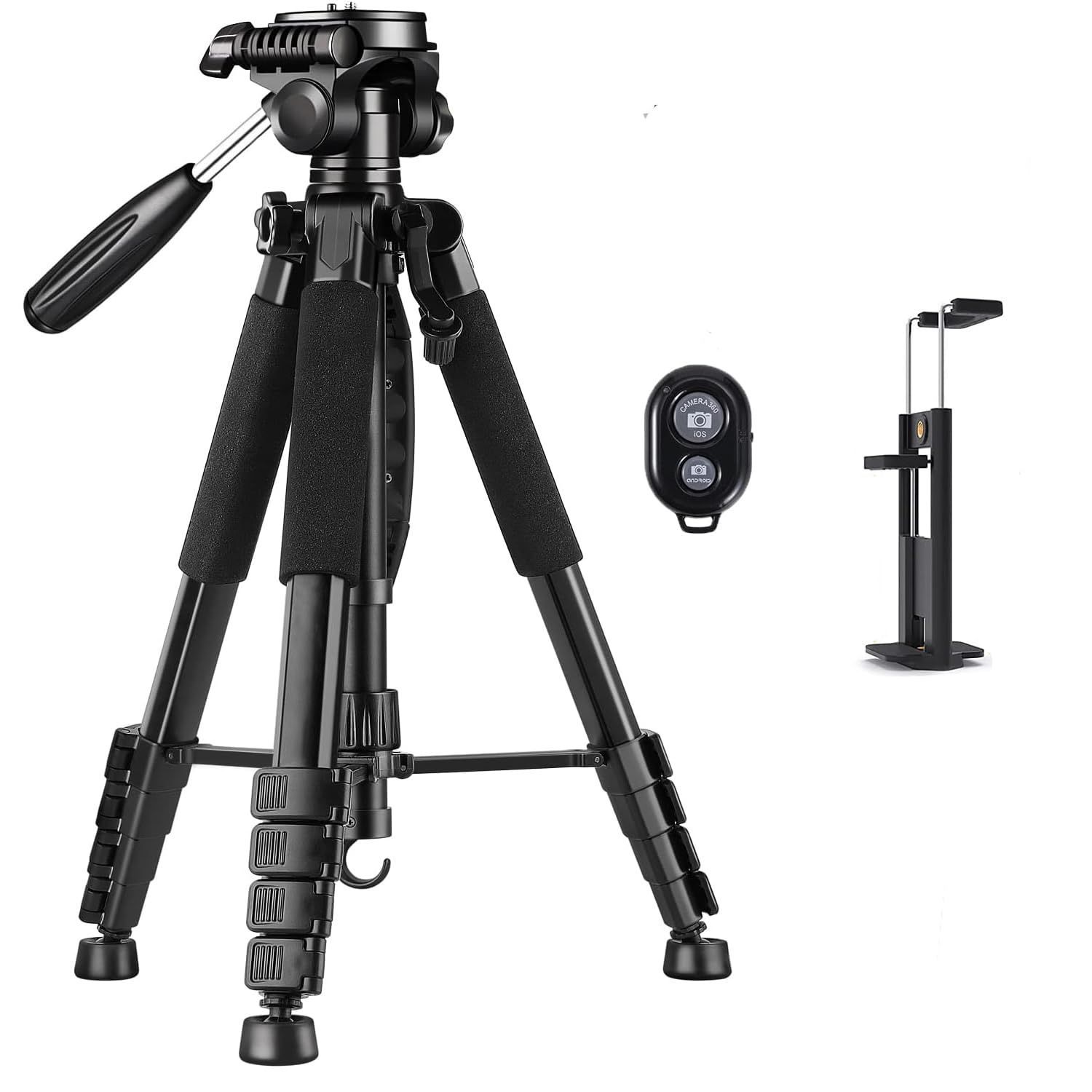 ChieArt 版画サイン入り 『月光』184/300 ChieArt 版画サイン入り