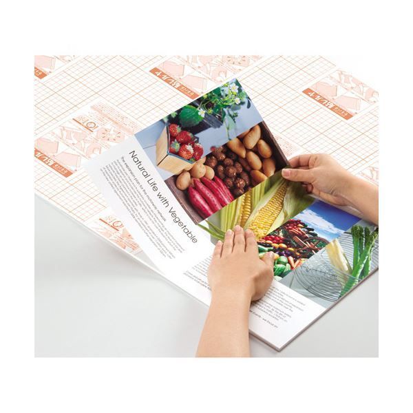 セキパネ貼レルヤ B1