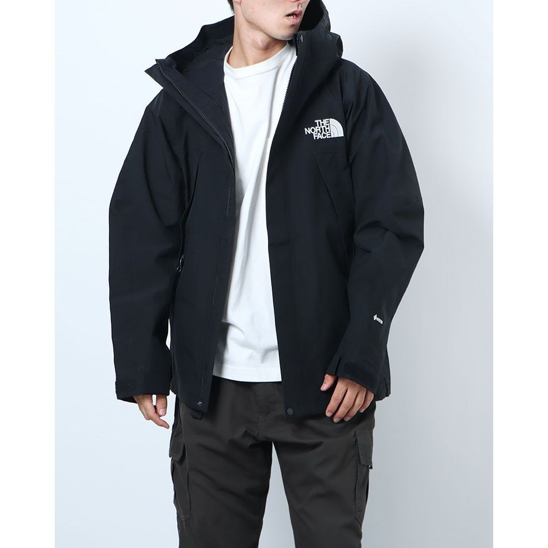 THE NORTH FACE◇MOUNTAIN JACKET_マウンテンジャケット/L/ナイロン ...