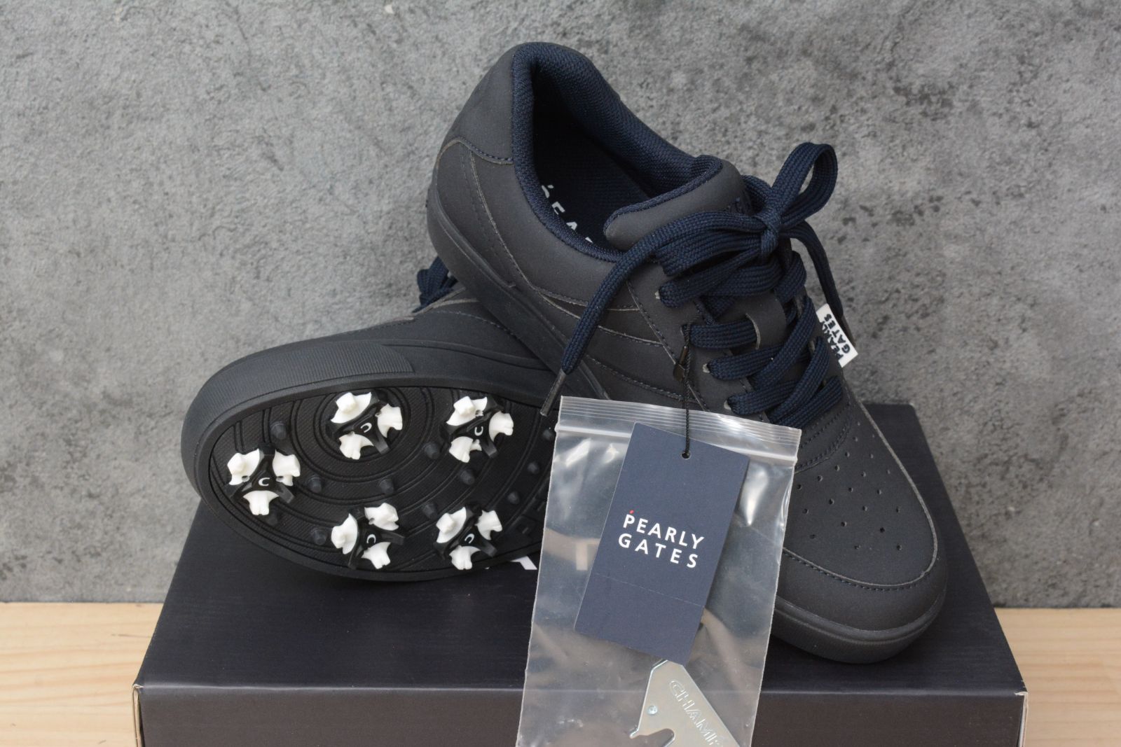 2024 アーユルヴェーダで治すアトピー インド亜大陸5000年の歴史をもつ